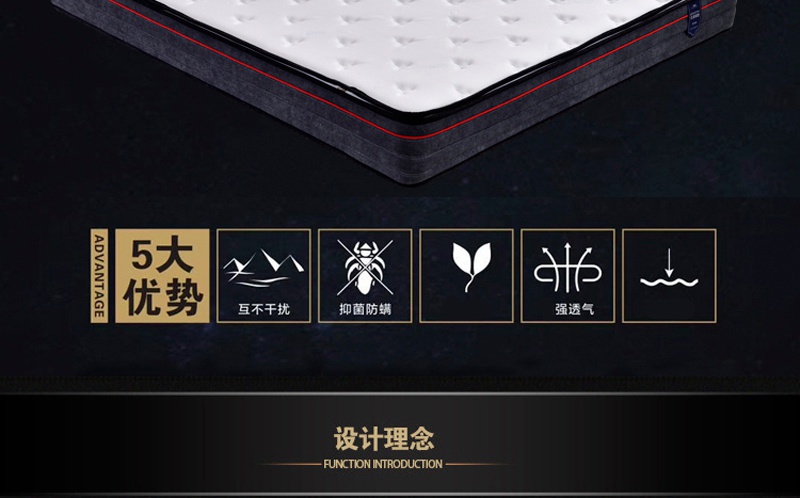 蘑菇视频网站入口床垫Q101-_02.jpg
